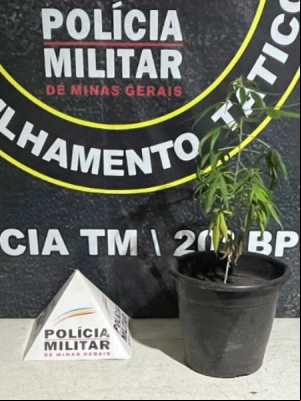 site